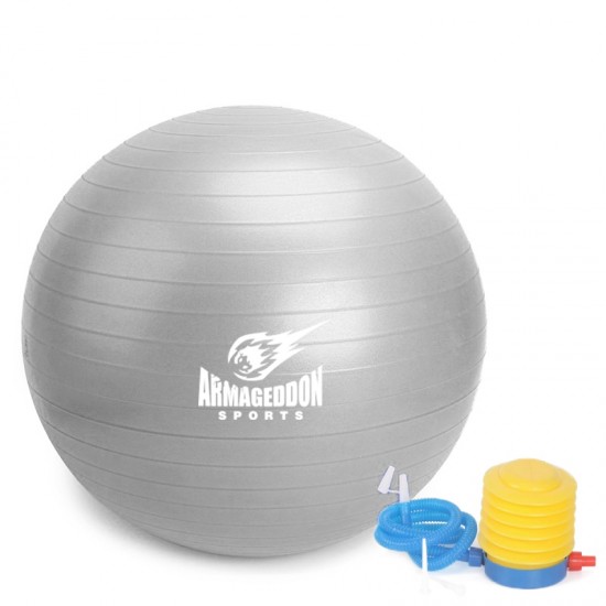 Armageddon Sports Фитнес гимнастическа топка 75 см с помпа, сребрист на супер цена