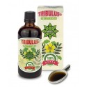 Cvetita Herbal TRIBULUS + GINKGO 100 мл, 33 дози  на супер цена